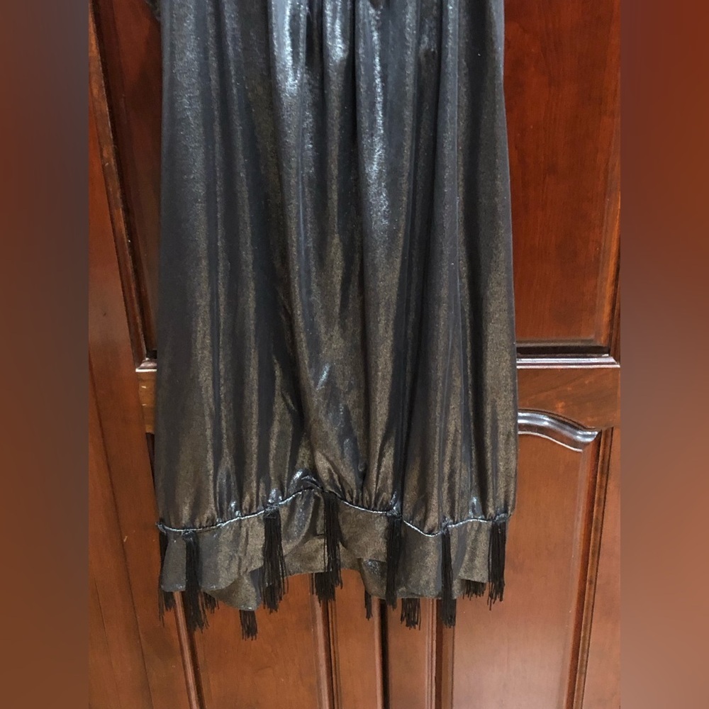 Great Gatsby Flapper Style Fringe Sequin Silver P… - image 6